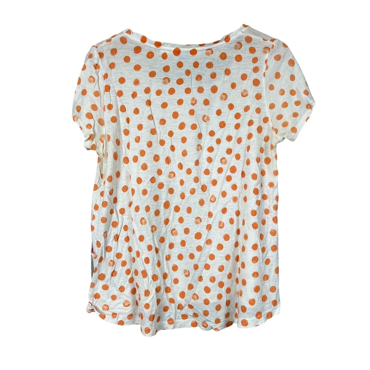 Anthropologie Zebra Graphic Watercolor Chatty Tee Women's Size M