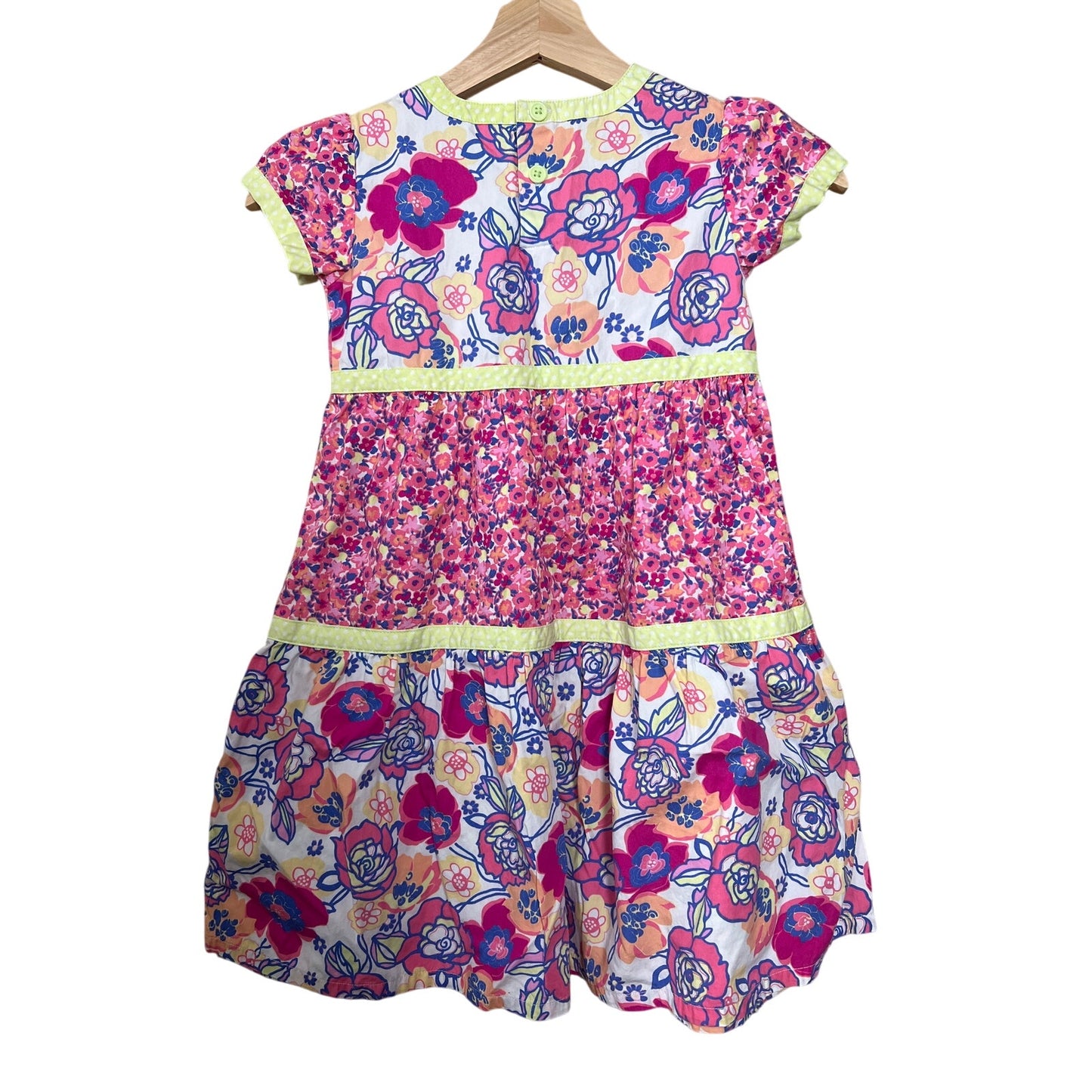 Hanna Andersson 110 Floral Pink Girl Sleeve Dress Daisy