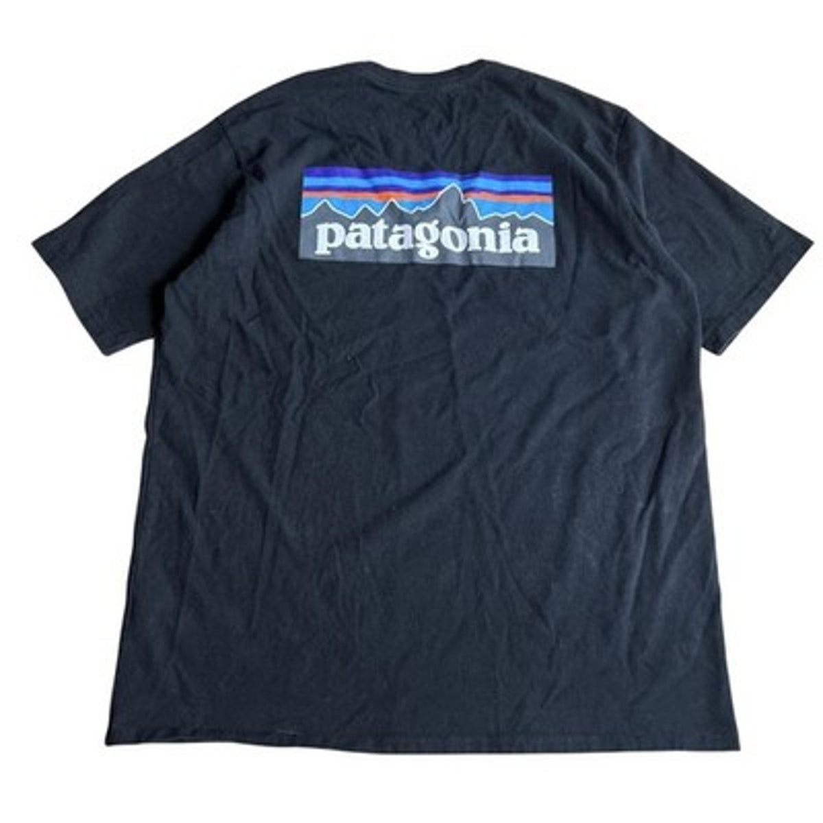 Patagonia Shirt Mens L Black Short Sleeve Crew Neck Tagless Back Graphic