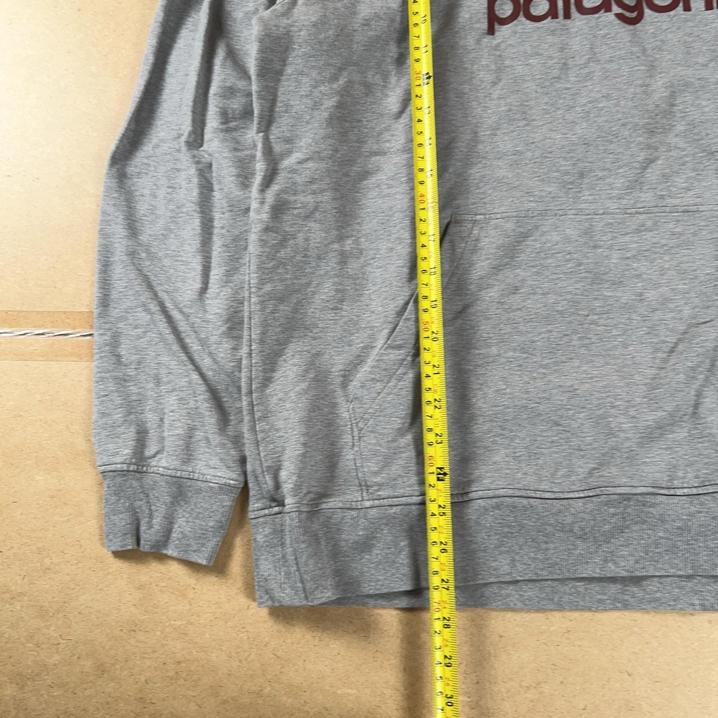 Patagonia Sweater Mens L Gray Pullover Hooded Pockets Graphic Organic Cotton