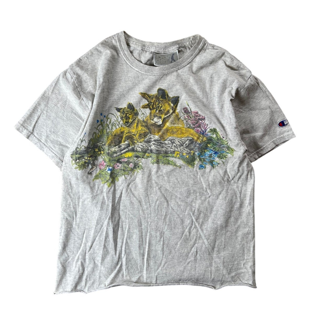 Mountain Lions Thrashed Nature Habitat T-Shirt Men Size M