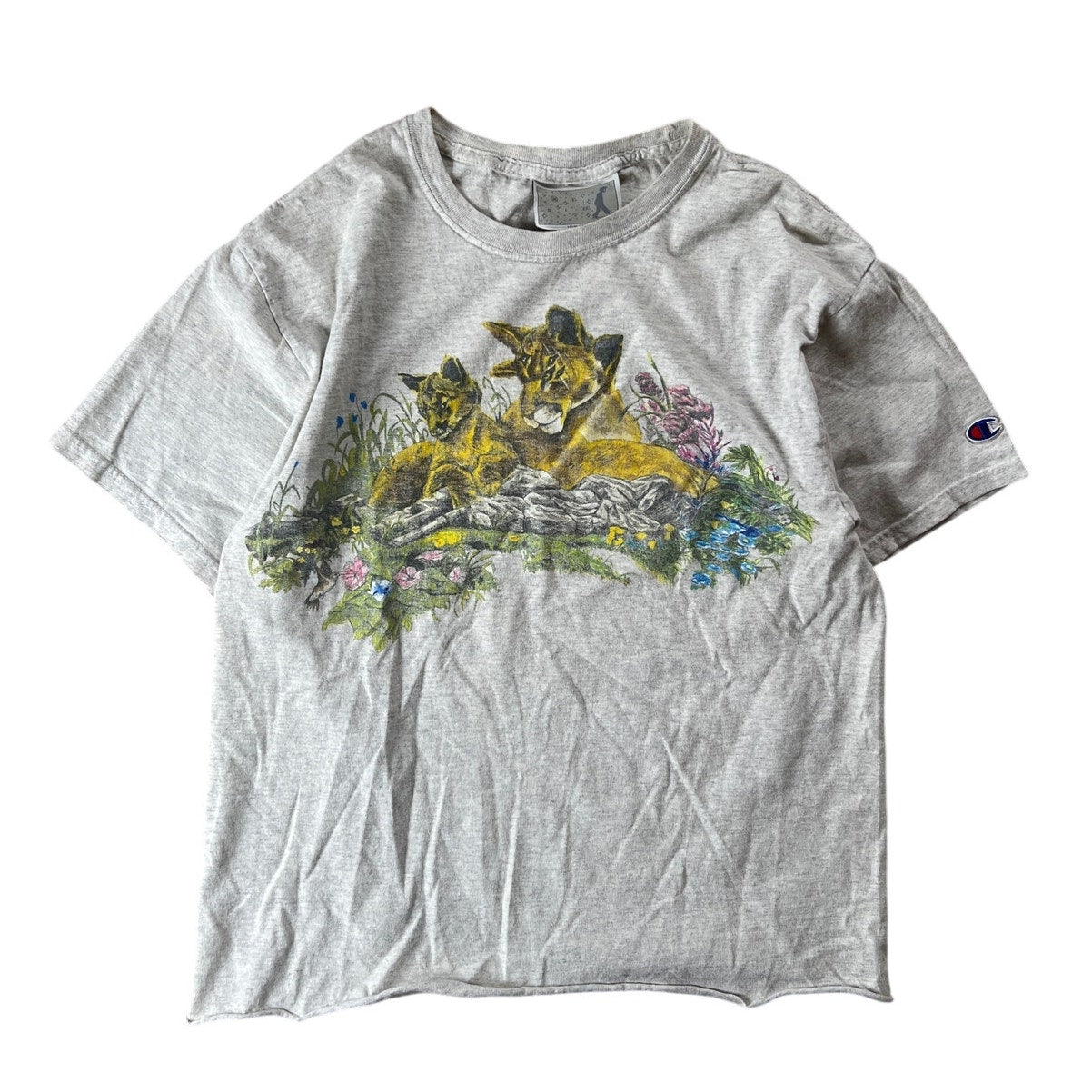 Mountain Lions Thrashed Nature Habitat T-Shirt Men Size M