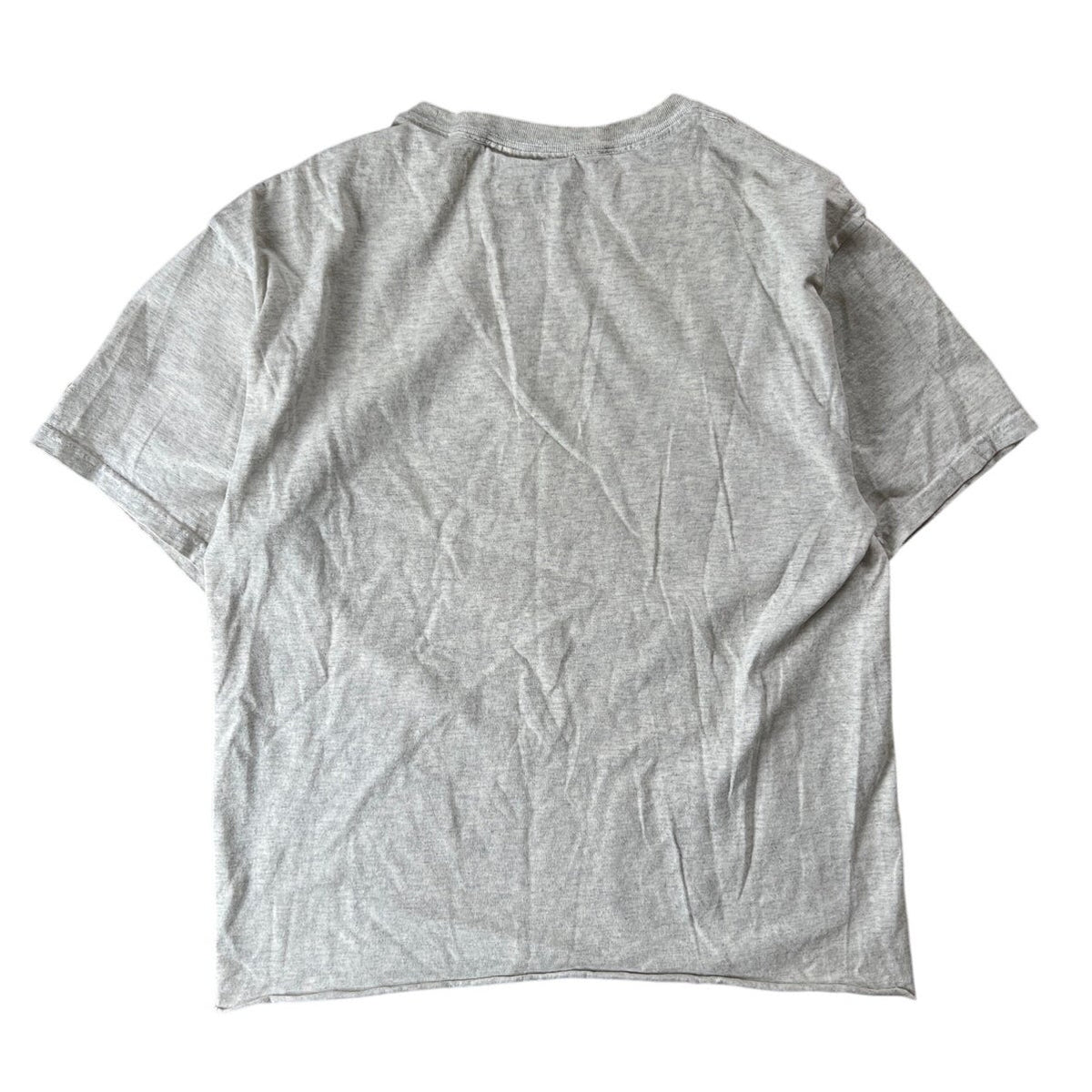 Mountain Lions Thrashed Nature Habitat T-Shirt Men Size M