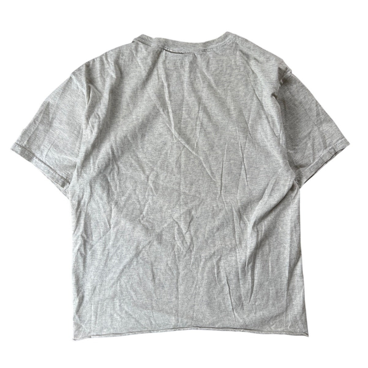 Mountain Lions Thrashed Nature Habitat T-Shirt Men Size M