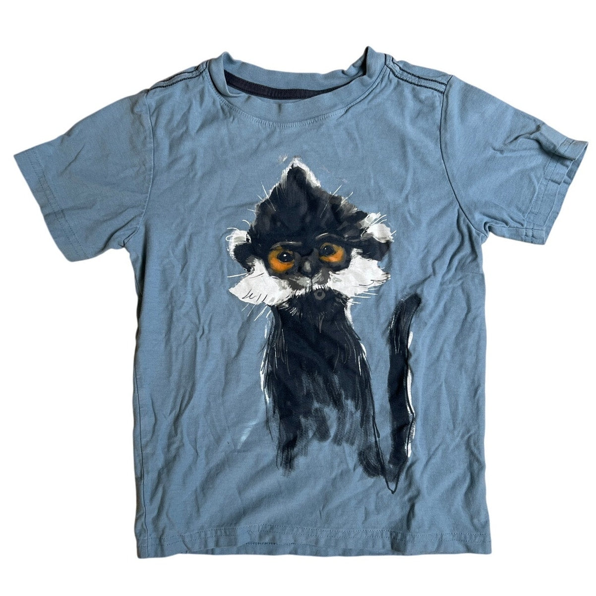 Tea Blue With Monkey Graphic Boy T-Shirt Size 7