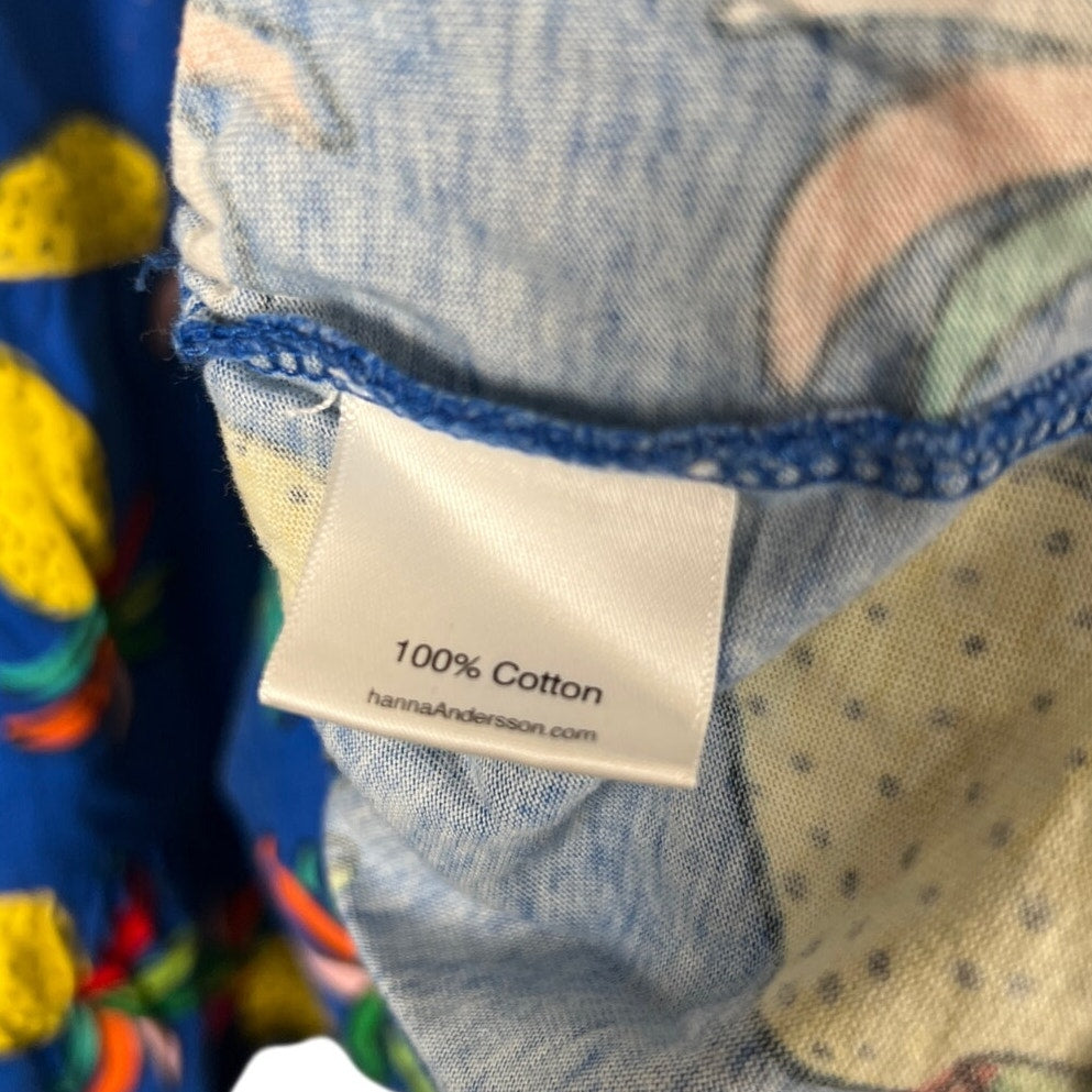 Hanna Andersson Blue Pineapple Toddler Girl Dress Size 4