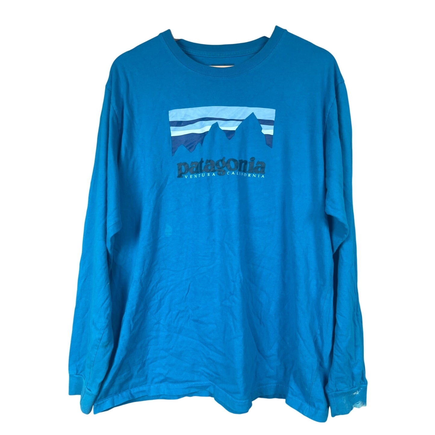 Patagonia Regular Fit Size Large Long Sleeve Graphic Blue