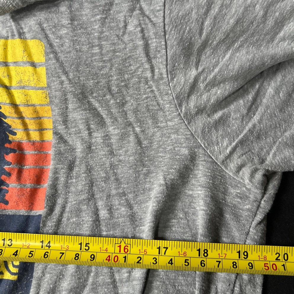 State Of Mine Gray Minnesota Graphic T-shirt Size Large