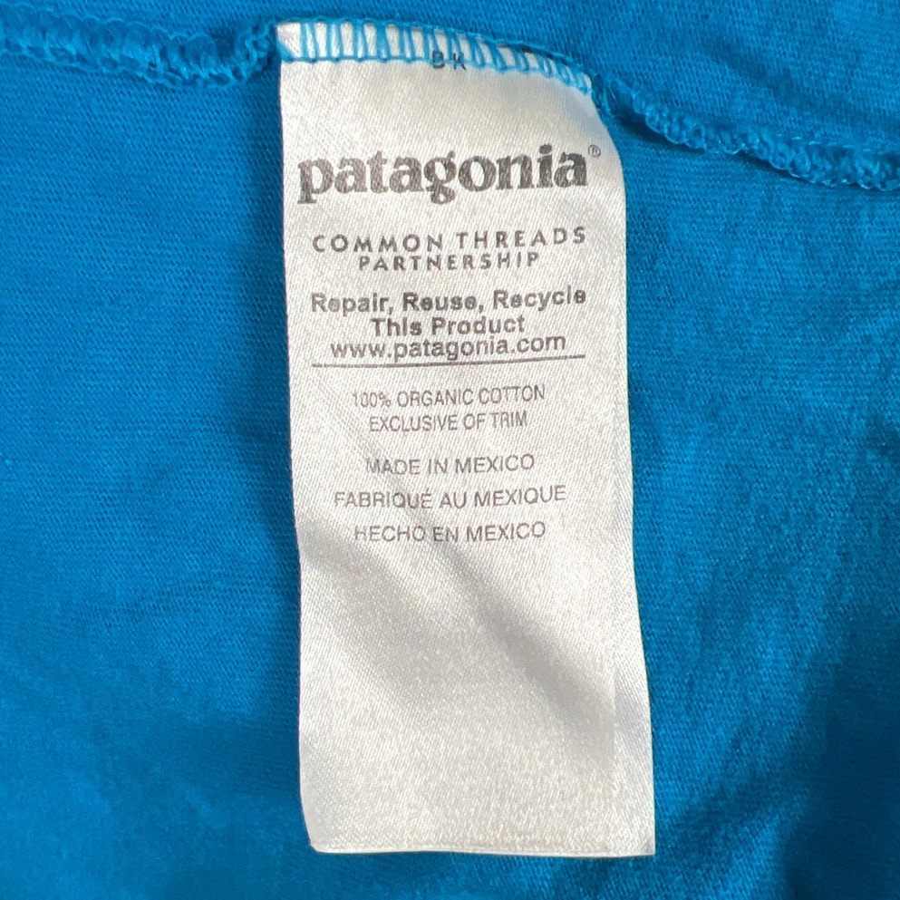Patagonia Regular Fit Size Large Long Sleeve Graphic Blue