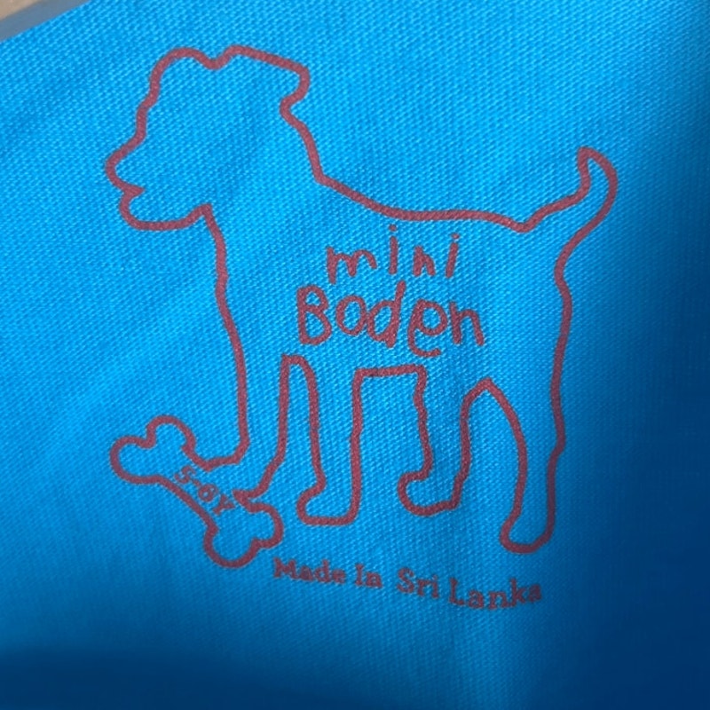 Mini Boden 5-6Y Popsicle T-shirt Toddler Blue