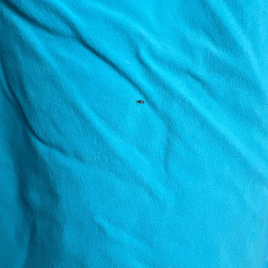 Patagonia Board Shorts Swimming Trunks Shorts Teal Blue