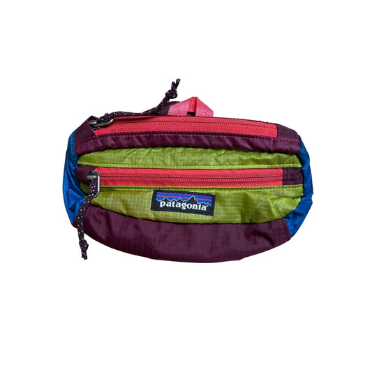 Patagonia Lightweight  Mini Hip Pack Fanny 1L Patchwork Peppergrass