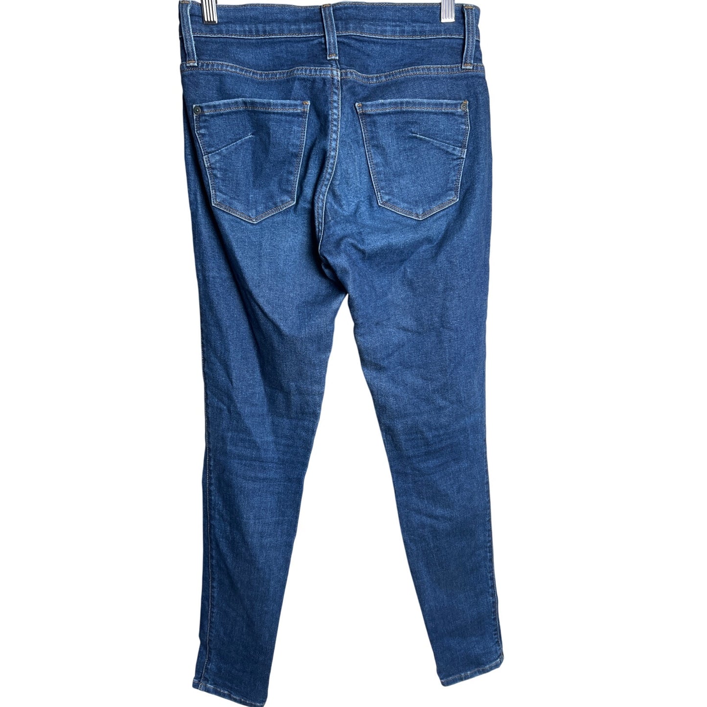 James Jeans Twiggy 28 Skinny Jeans Blue Dry Aged Denim Mid Rise