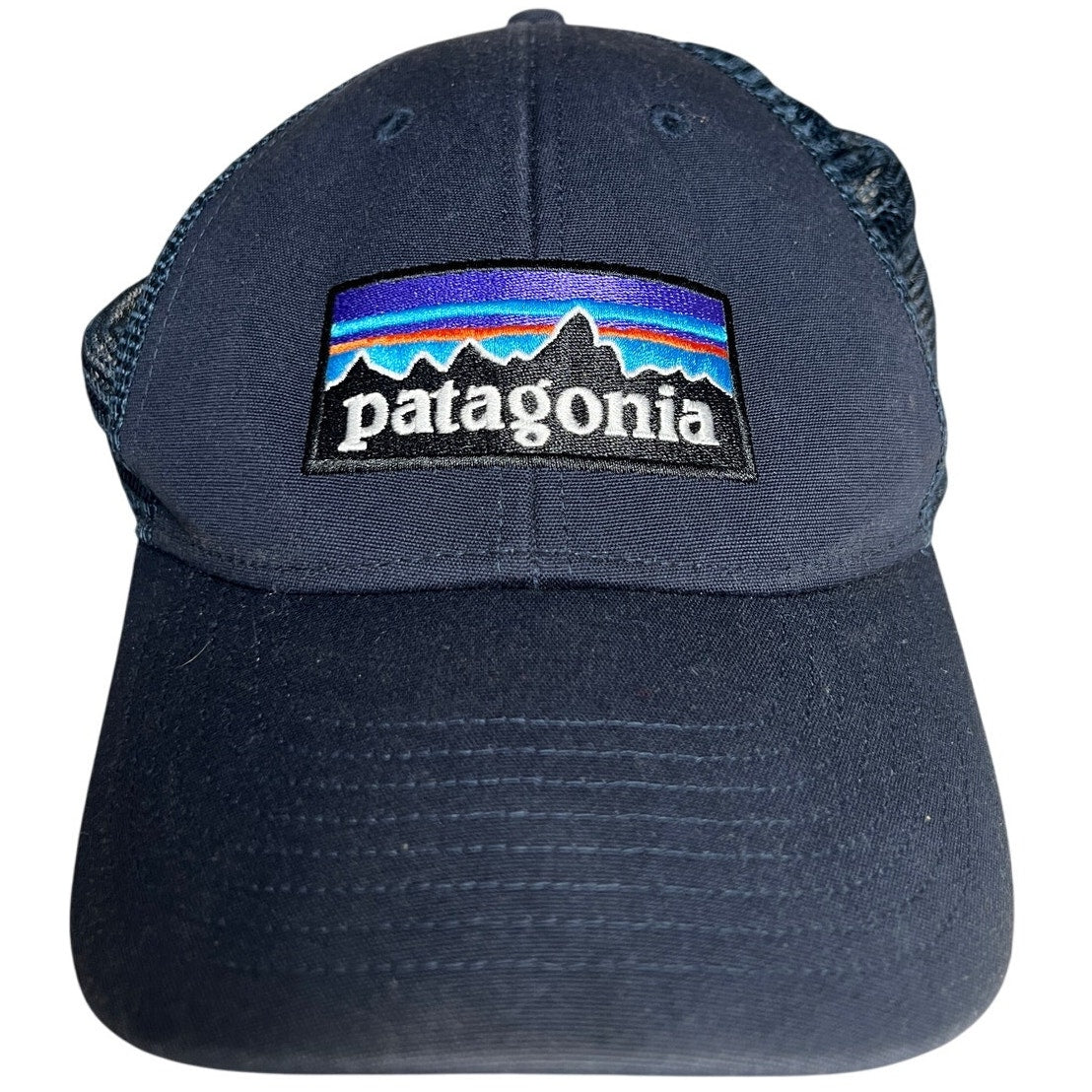 Patagonia P-6 Logo LoProTrucker Hat Adjustable Spellout