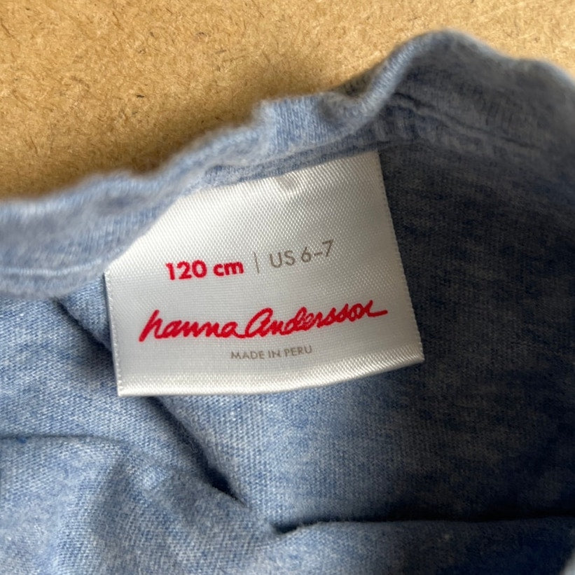 Mini Boden 6-7Y Boys Gray Hedge Hog With Plants T-Shirt