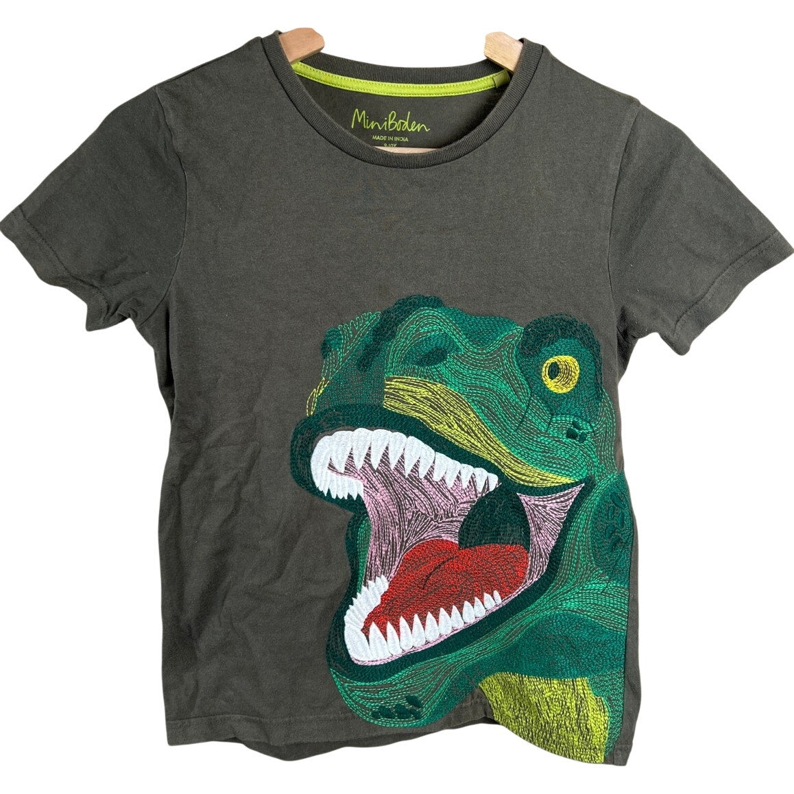 Mini Boden Dinosaur Toddler Graphic Green T-shirt 9-10Y