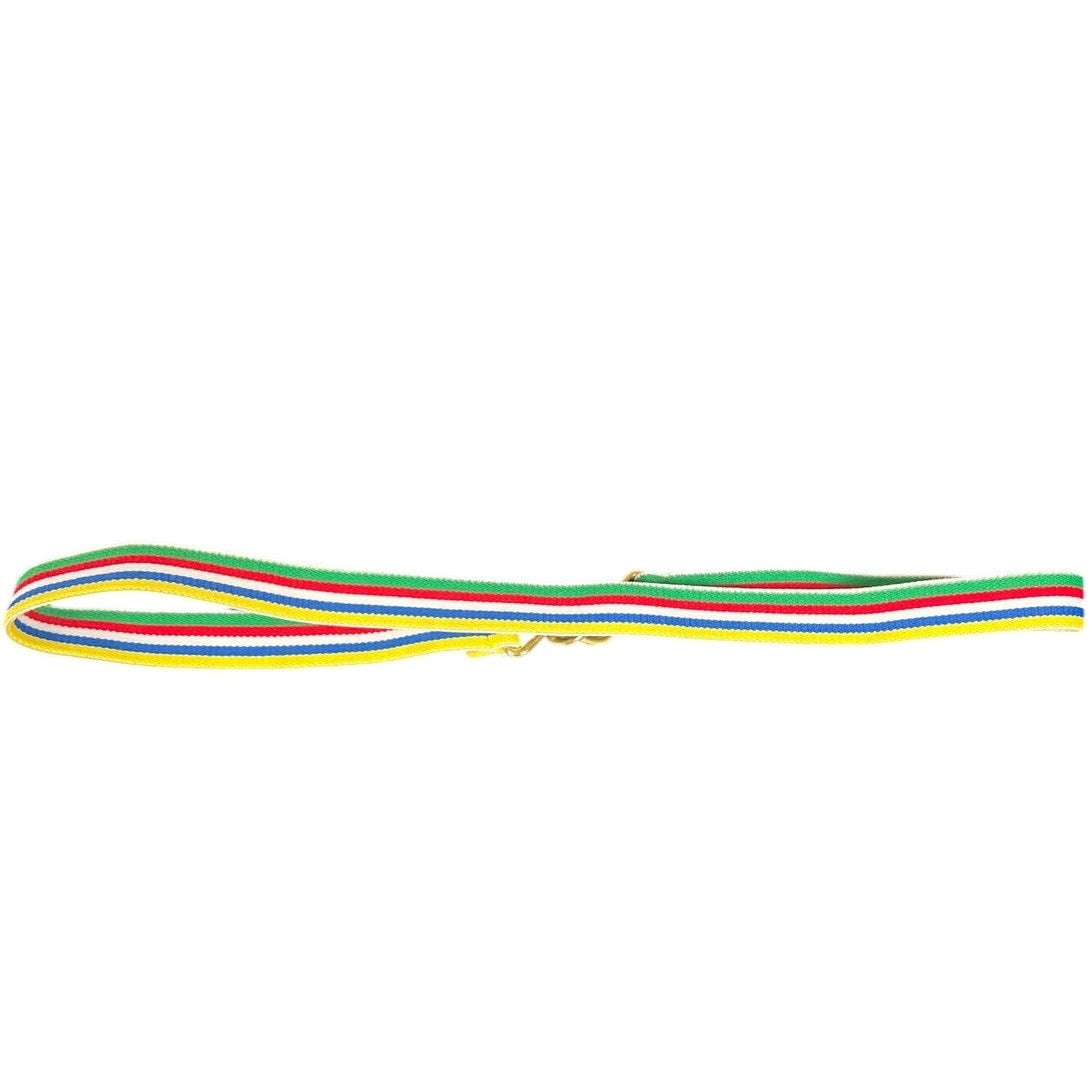 Vintage Rainbow Right Stretchy Waist Accessory Belt