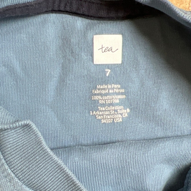 Tea Blue With Monkey Graphic Boy T-Shirt Size 7